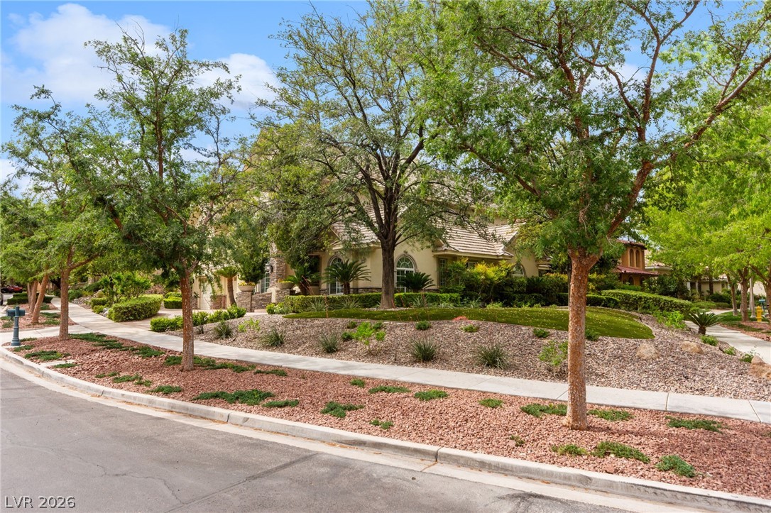 9204 White Tail Drive