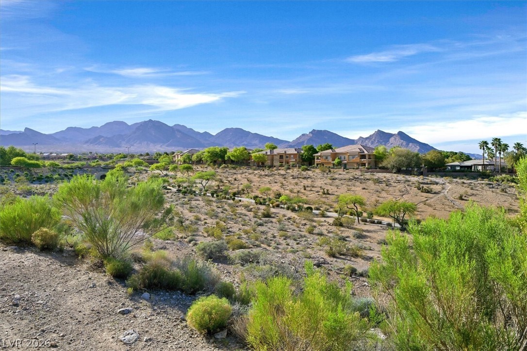 10234 Birch Bluff Lane