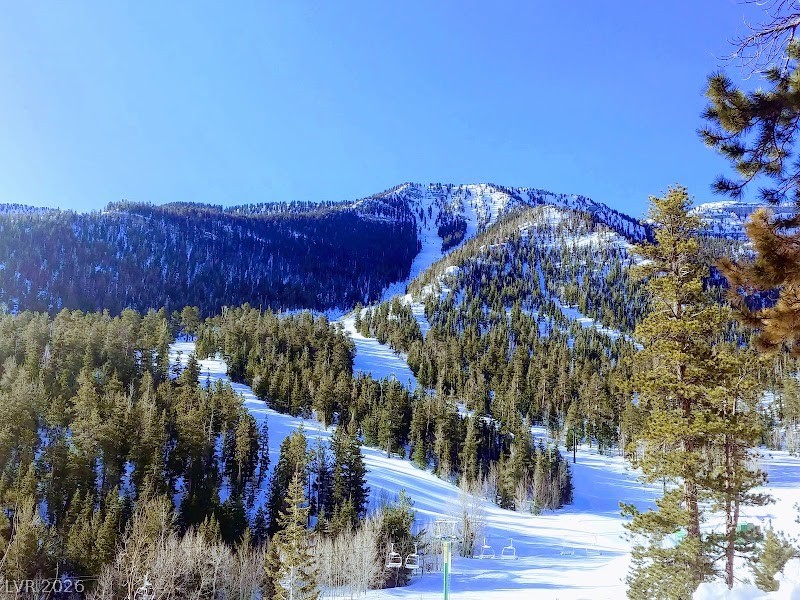 8854 Mountain Lion Avenue