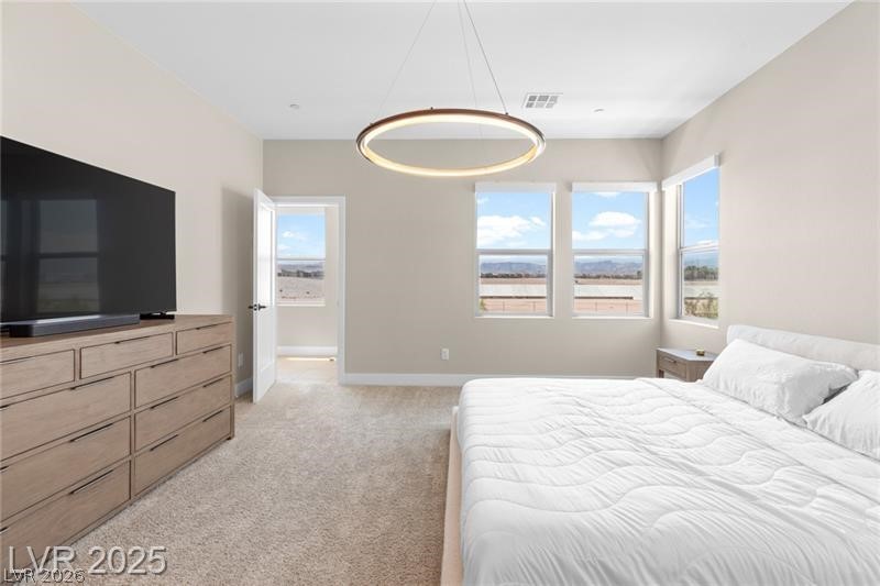 9865 Agate Creek Street