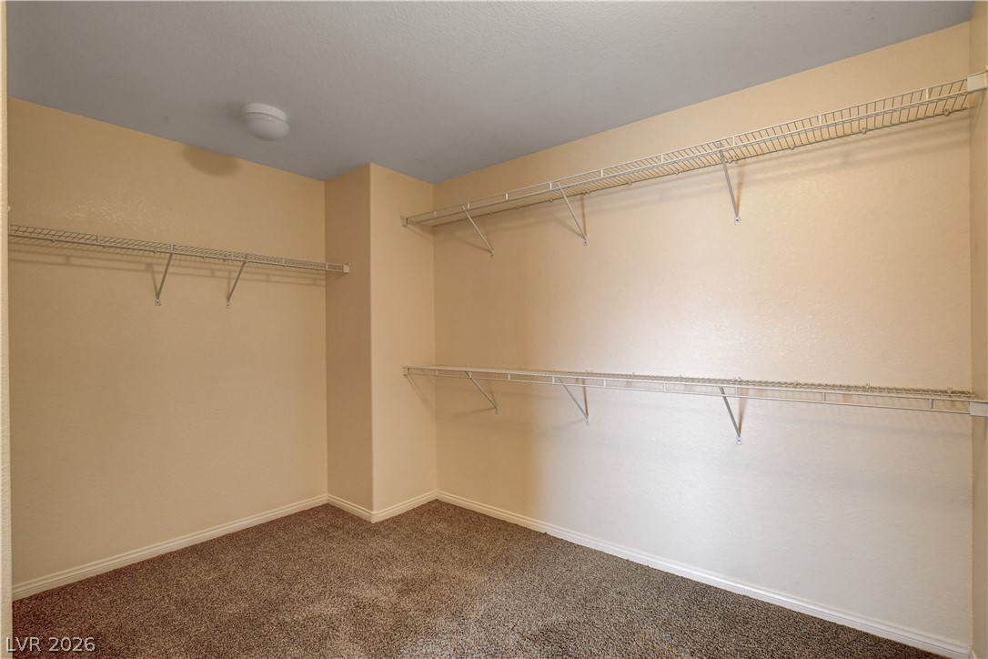 3509 Spotted Sandpiper Street