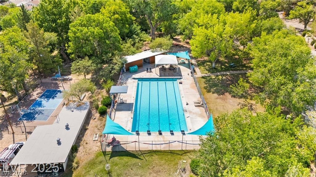 100 Spanish Trail