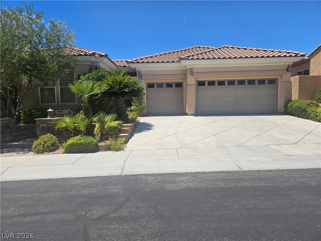 325 Corsicana Street