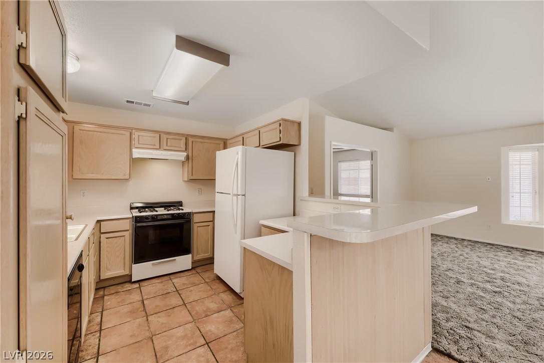 716 Marie Fenlon Drive