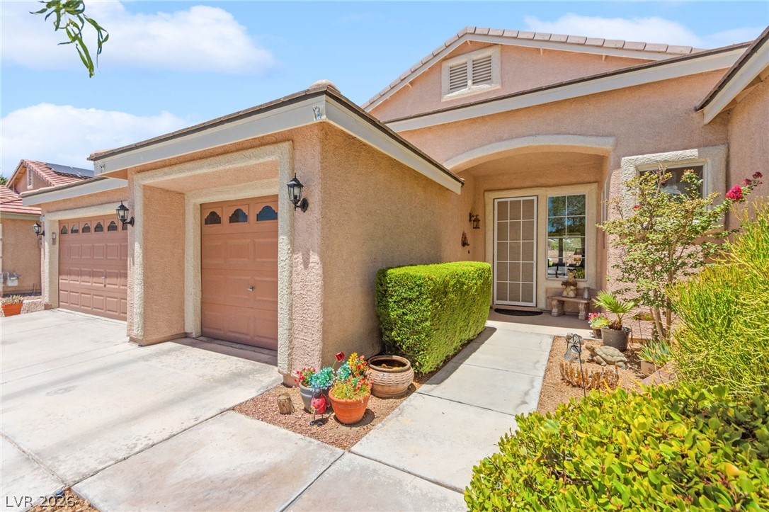 5432 Springer Spaniel Avenue