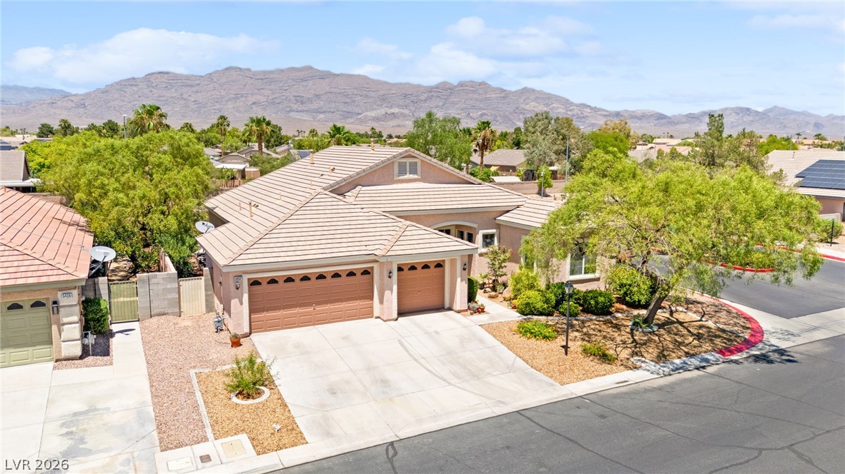 5432 Springer Spaniel Avenue