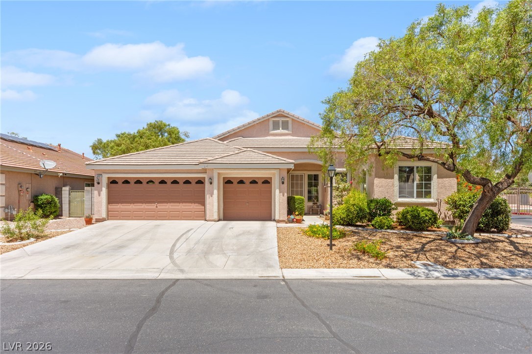 5432 Springer Spaniel Avenue
