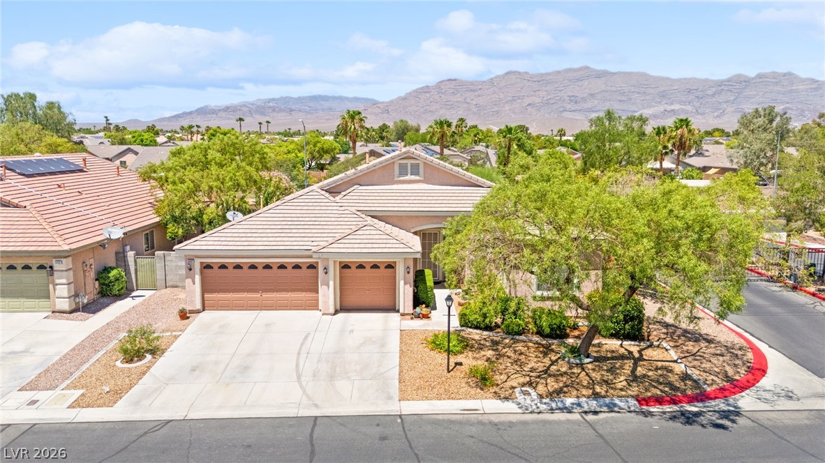 5432 Springer Spaniel Avenue