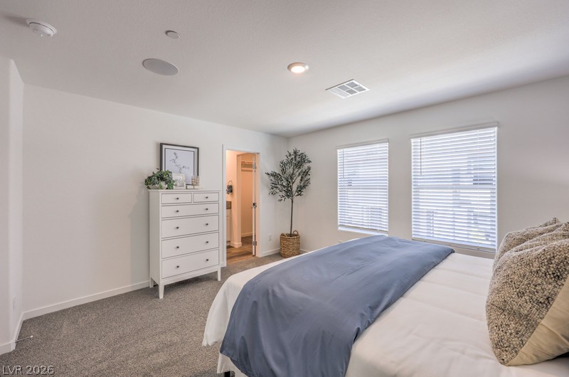 978 Desert Spruce