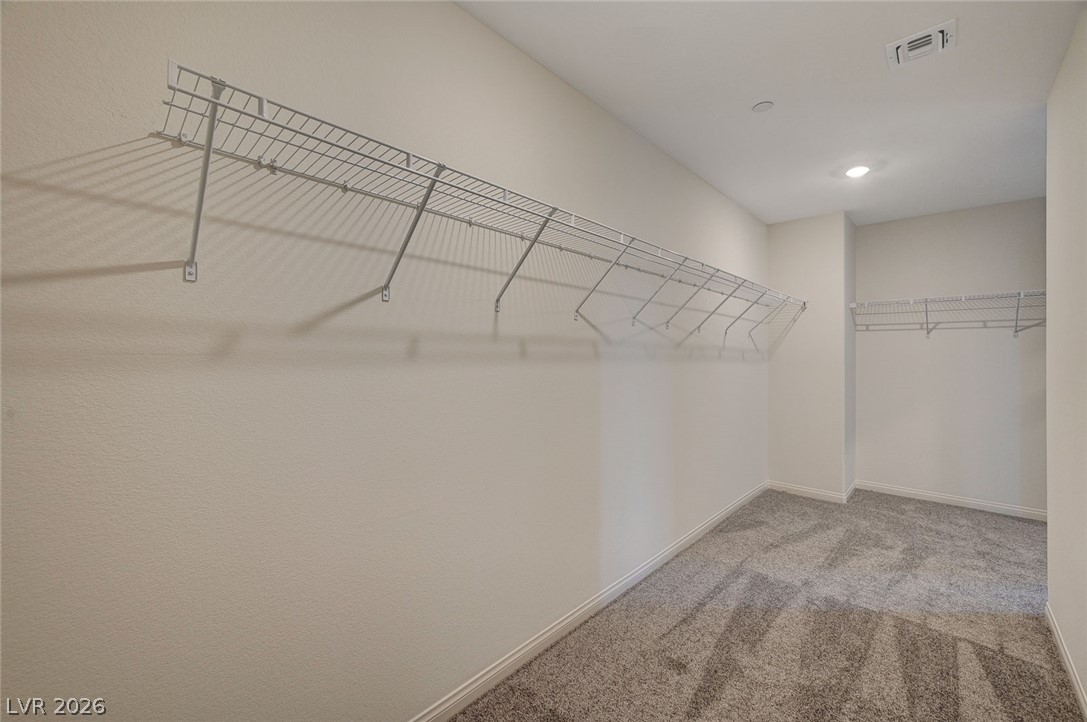 10165 Handline Chute Street