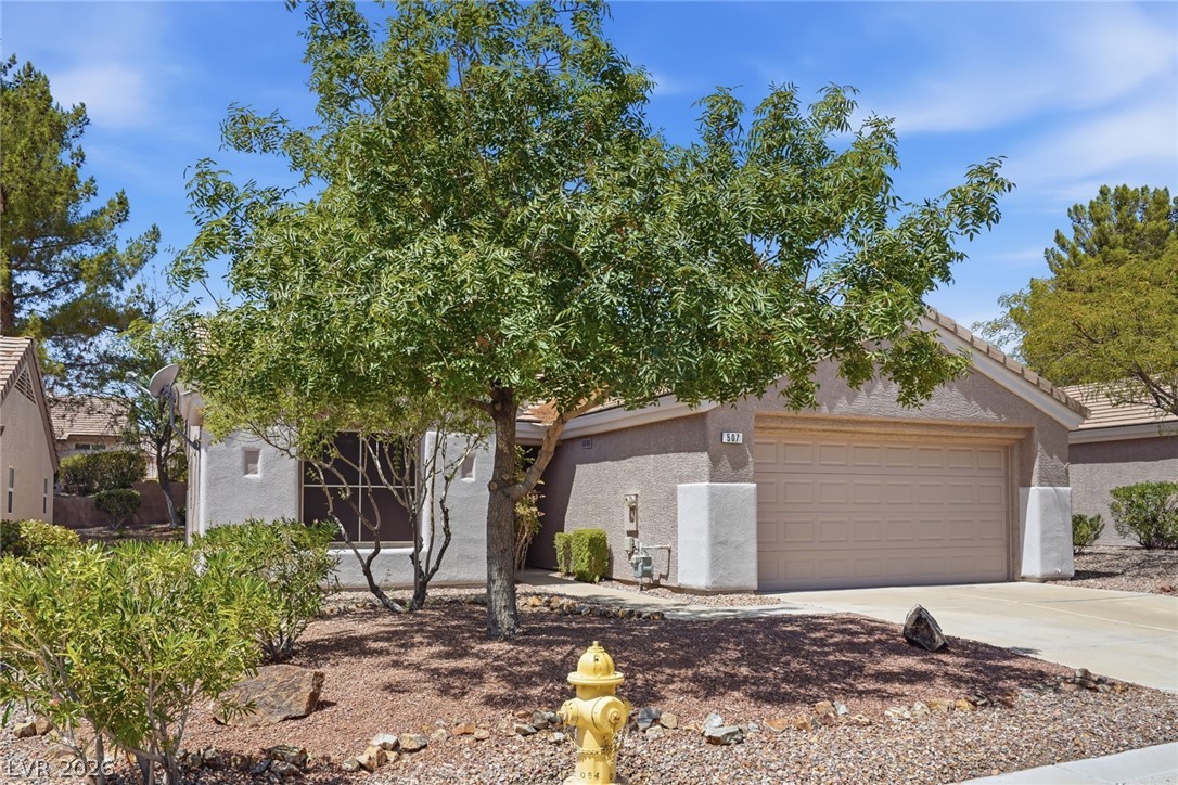 507 Dart Brook Place