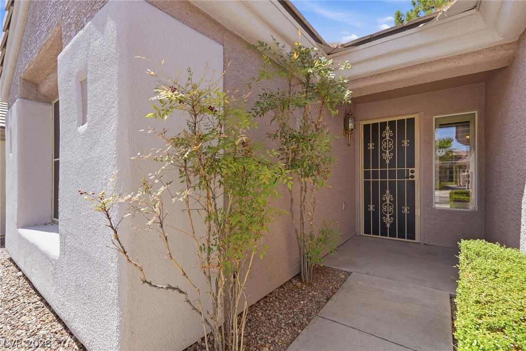 507 Dart Brook Place