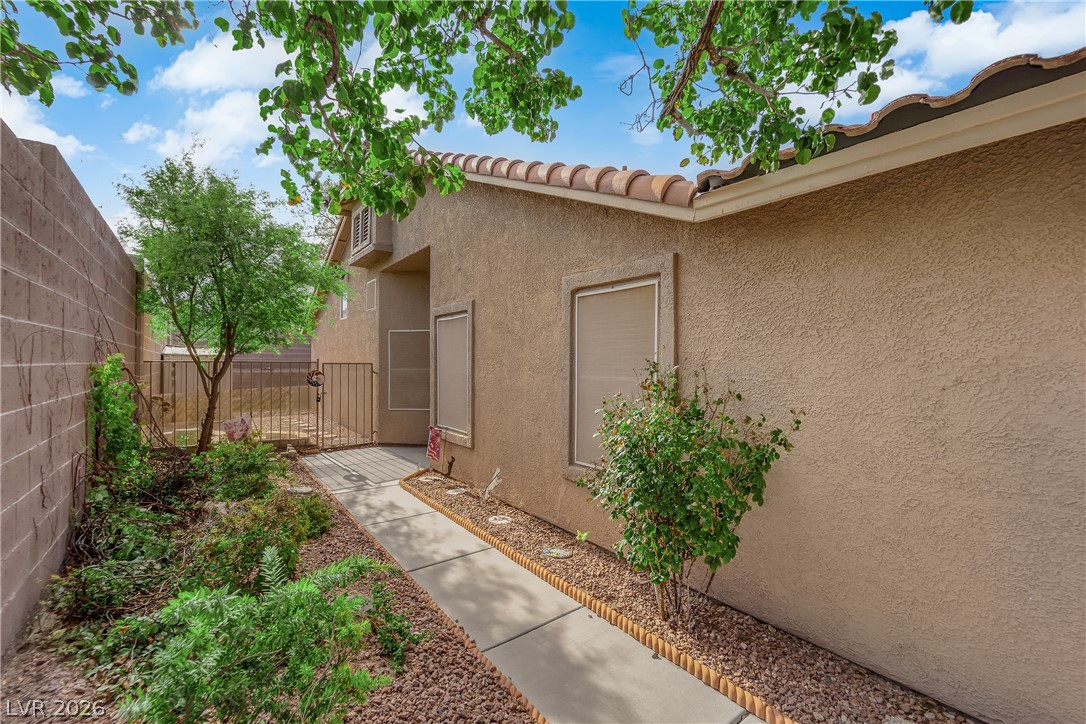 377 Rosado Springs Street