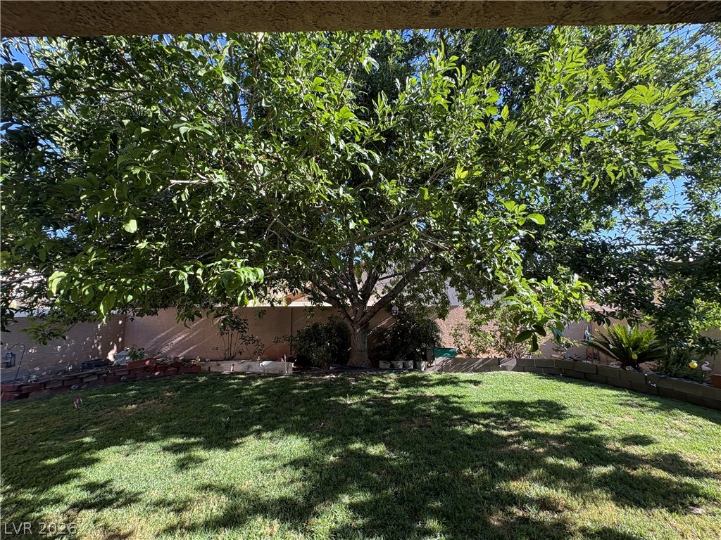 132 Cora Hills Court