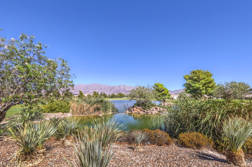 2921 Ivorybill Way