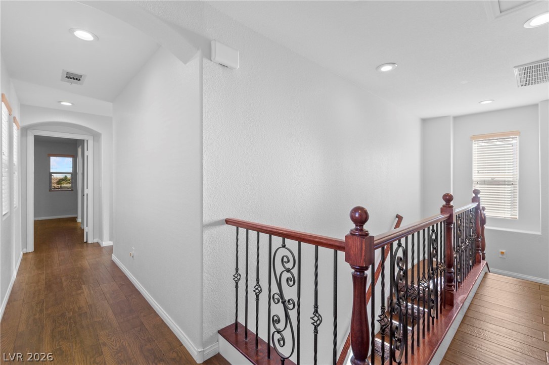 600 Bachelor Button Street