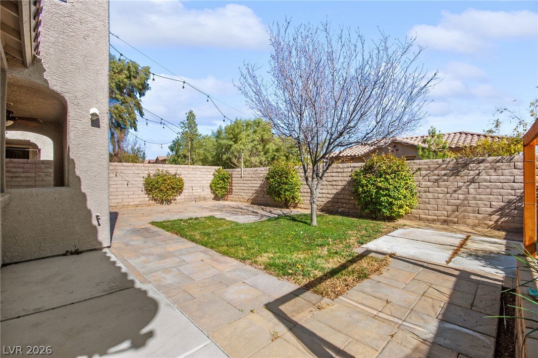 600 Bachelor Button Street