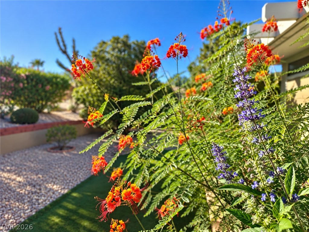 8613 Villa Ridge Drive