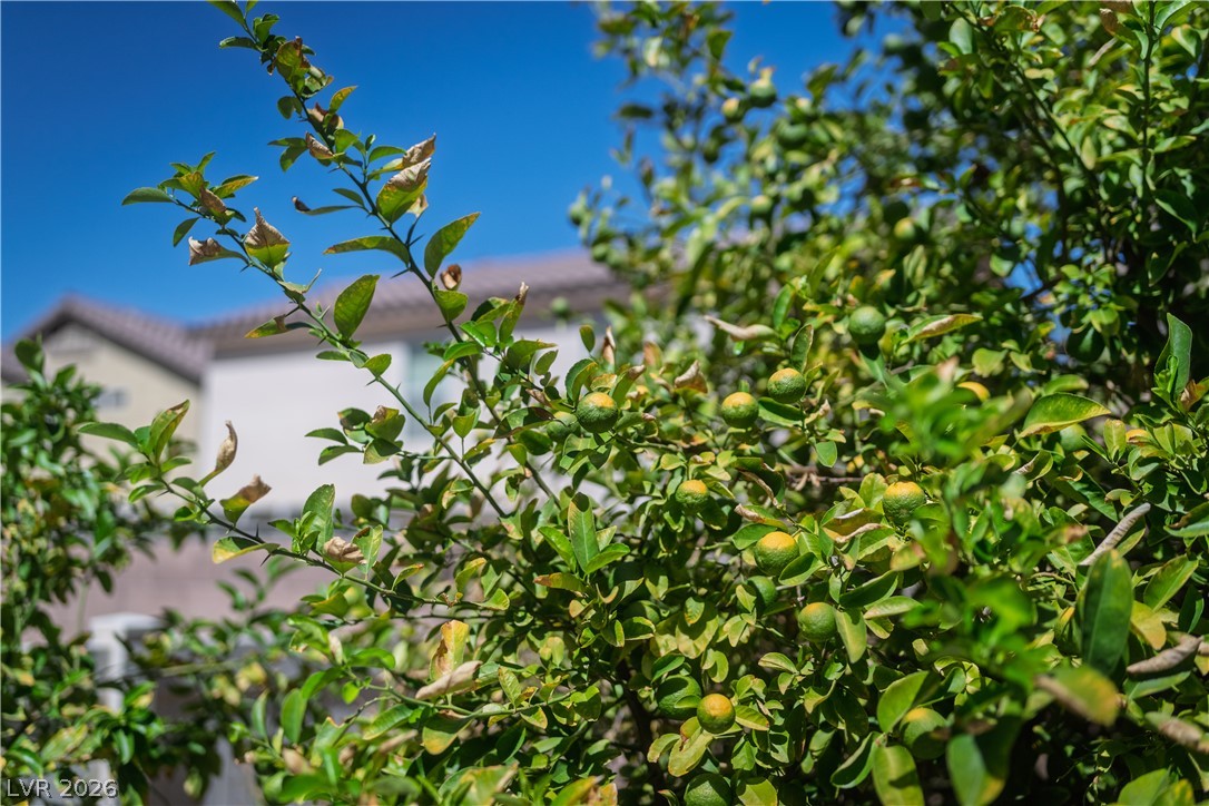 2204 Spartan View Court