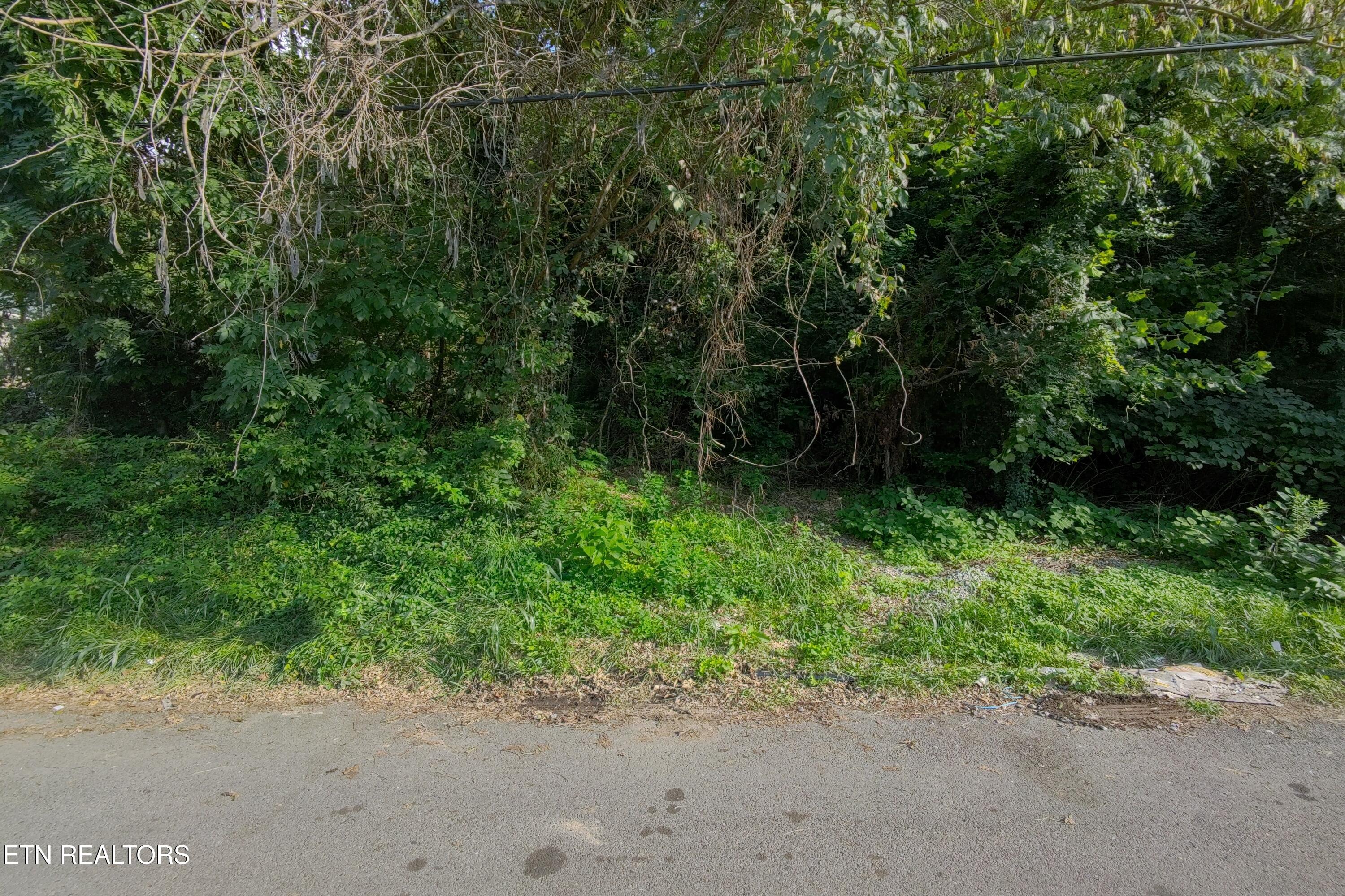 218 Shipman Drive