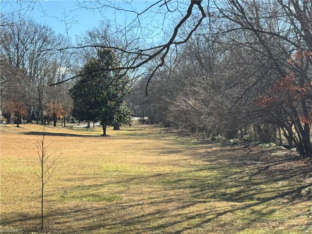 516 Willowbrook Drive