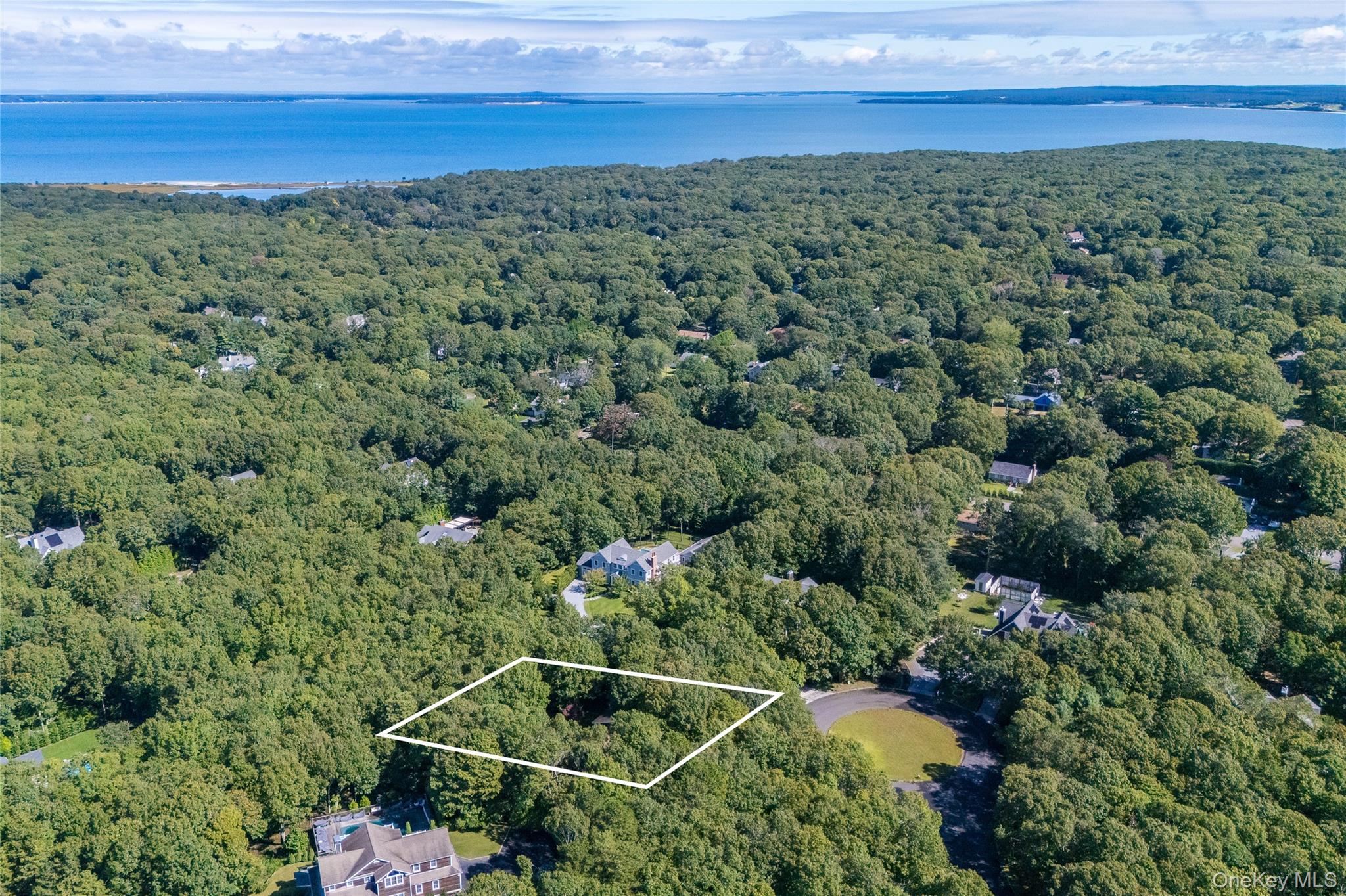 Aerial view of a wooded lot outlined in white, with a bay visible beyond the surrounding trees.
