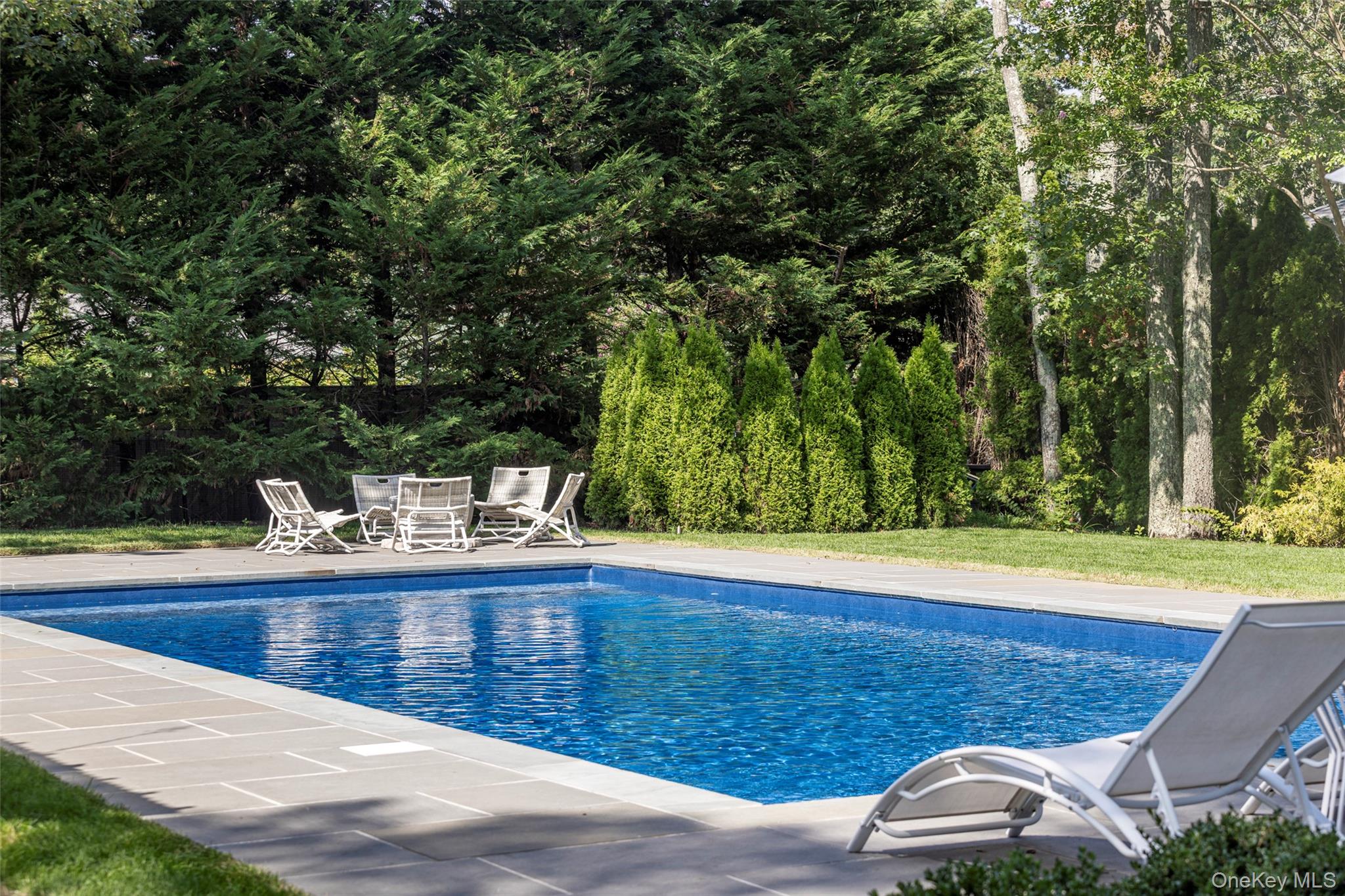 Outdoor swimming pool with a stone patio, white lounge chairs, and tall evergreen privacy landscaping.