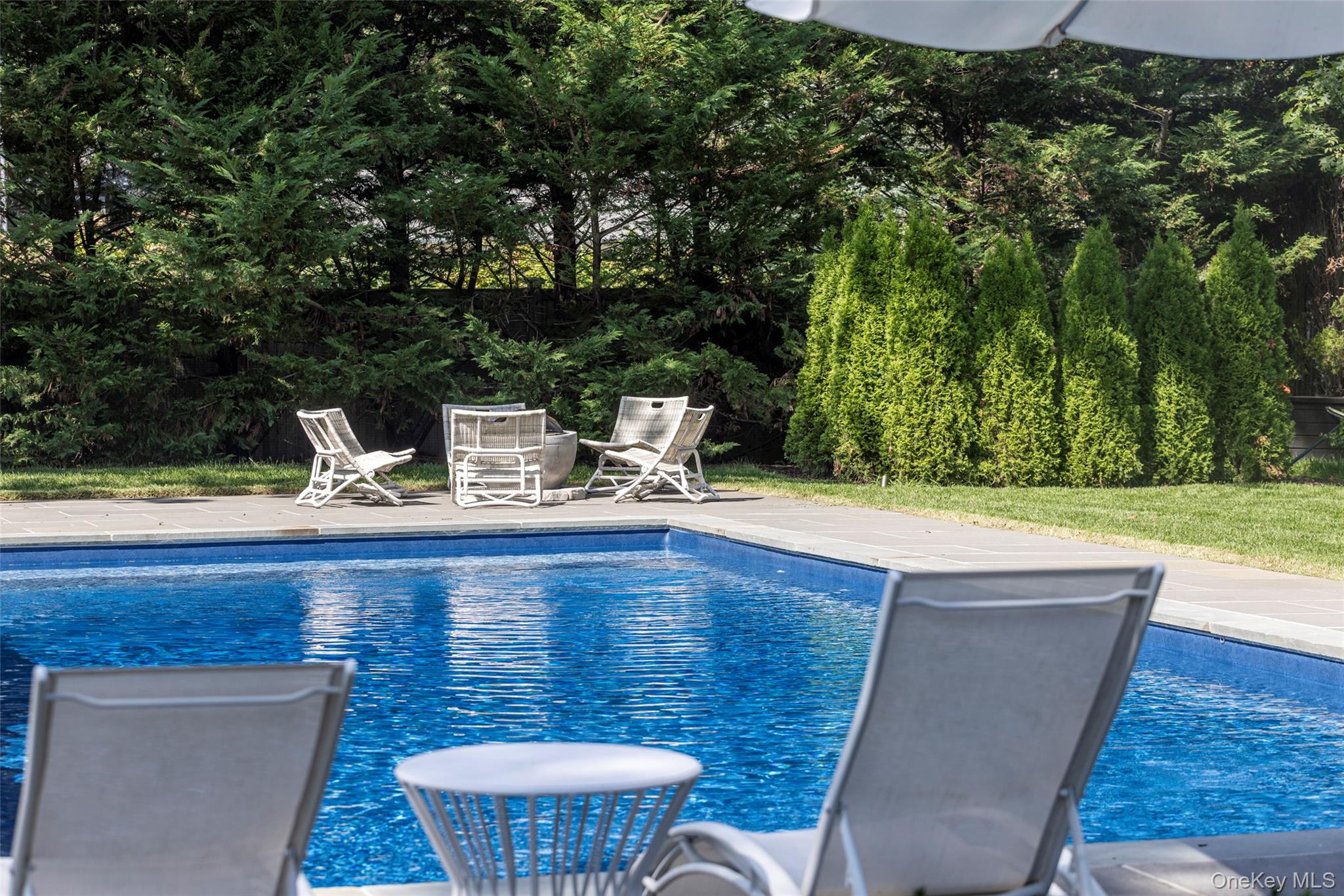 Outdoor swimming pool with white lounge chairs and evergreen privacy hedges.