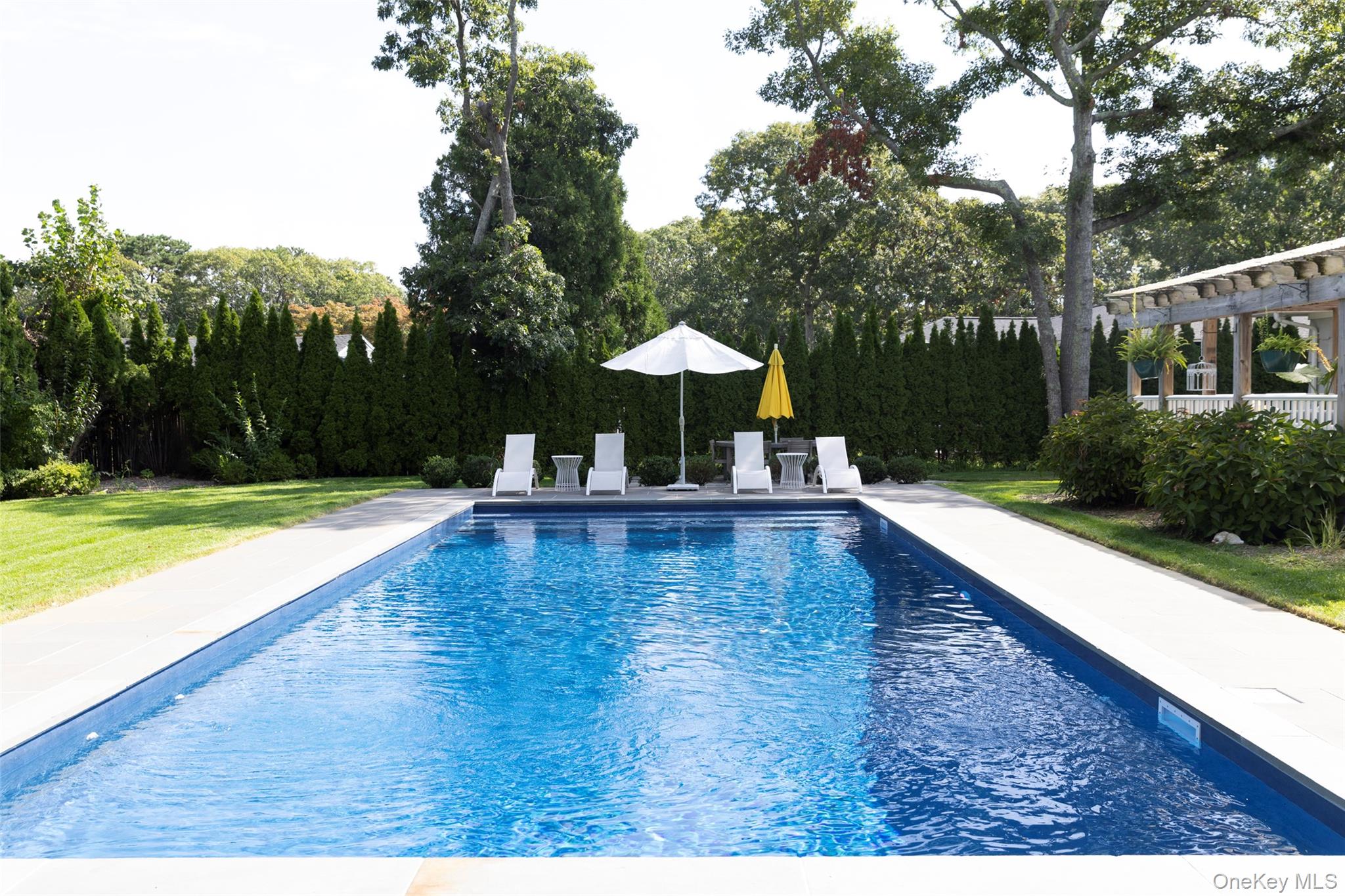 Backyard swimming pool bordered by a paved deck, lounge chairs, umbrellas, and tall privacy hedges.