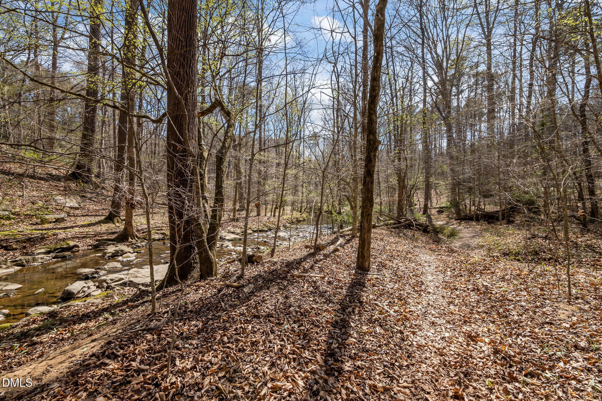Wooded property with a shallow rocky creek and a leaf-covered path