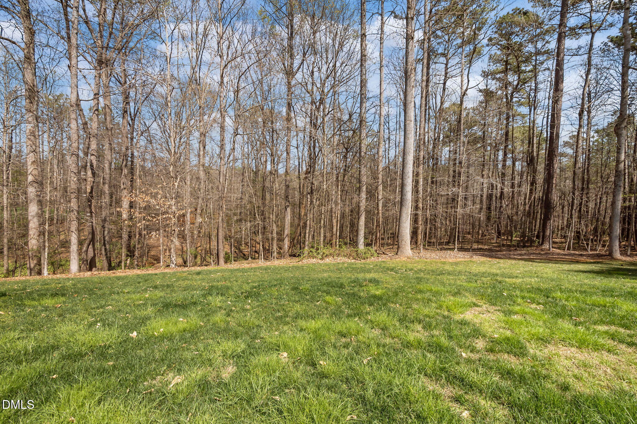 Green lawn meeting a dense woodland of mostly leafless trees.