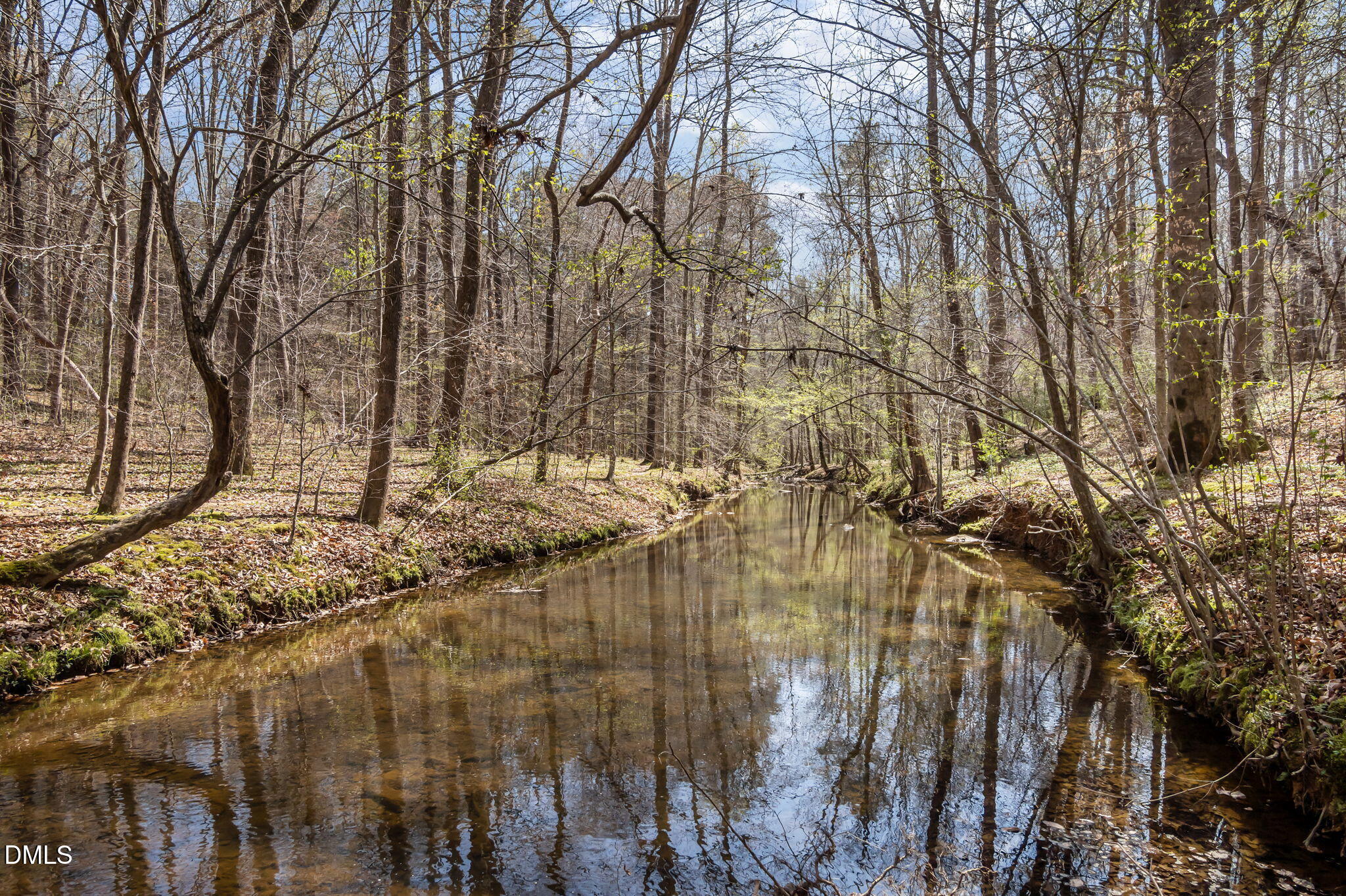 Wooded creek with clear water reflecting bare trees and spring buds.