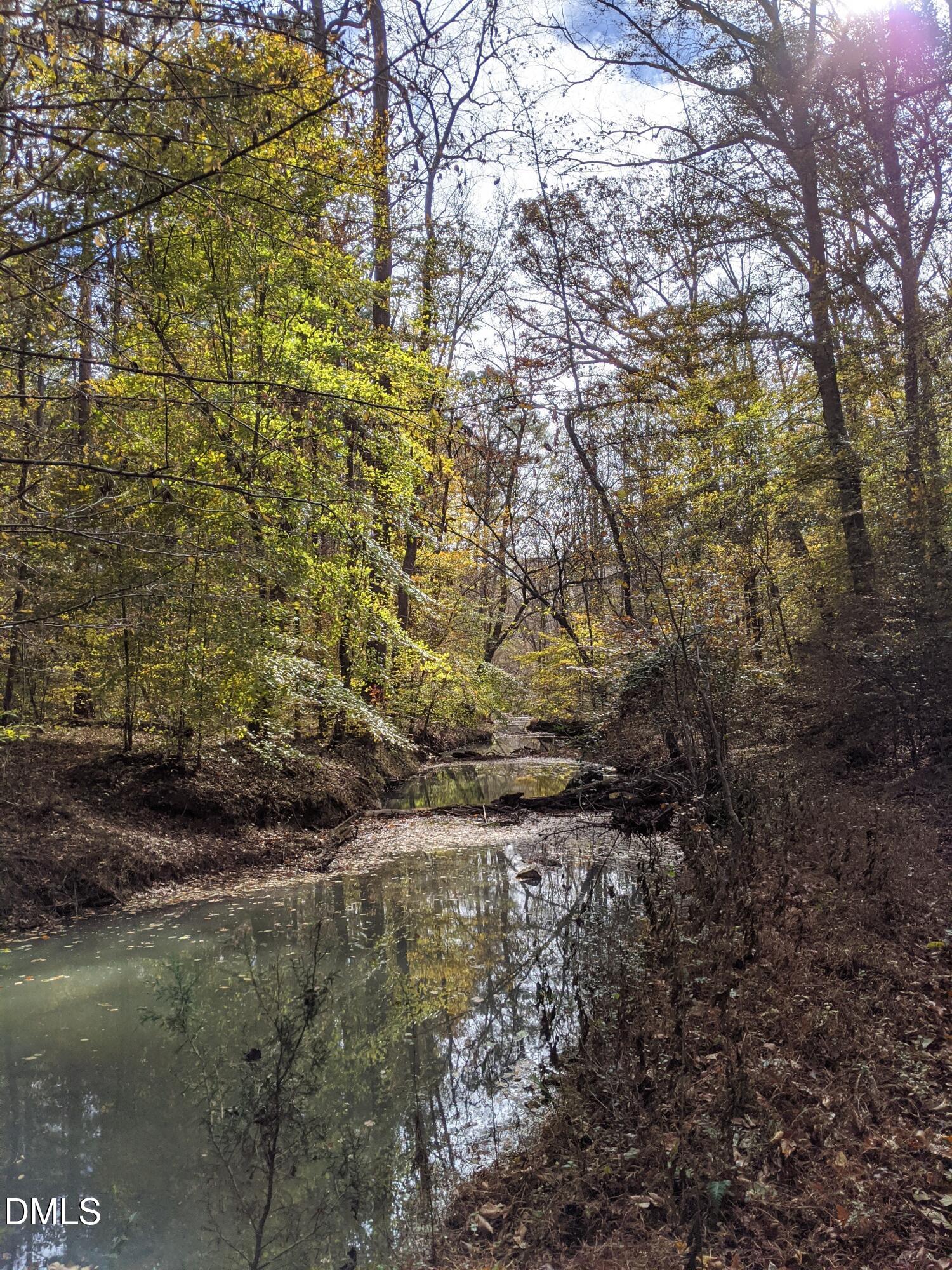 Wooded creek reflecting autumn trees beneath filtered sunlight.