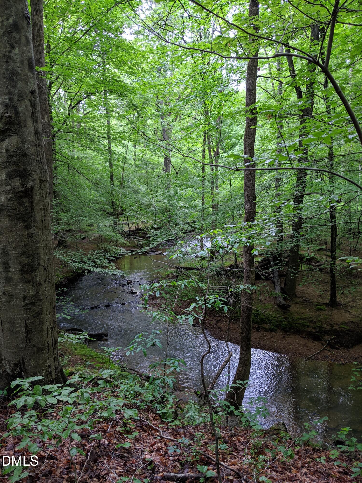 A creek winds through a densely wooded property.