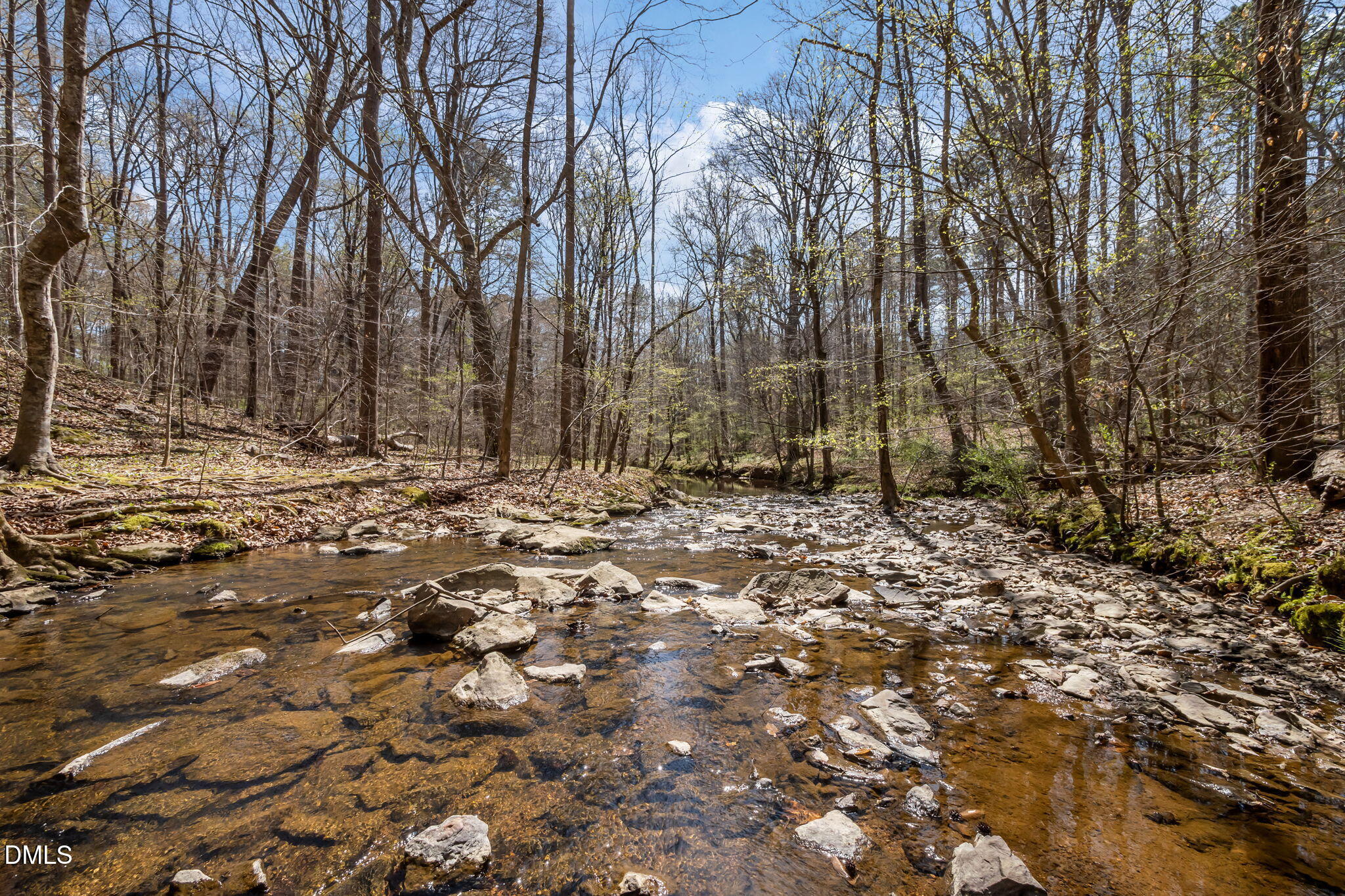 Rocky creek winding through leafless woods