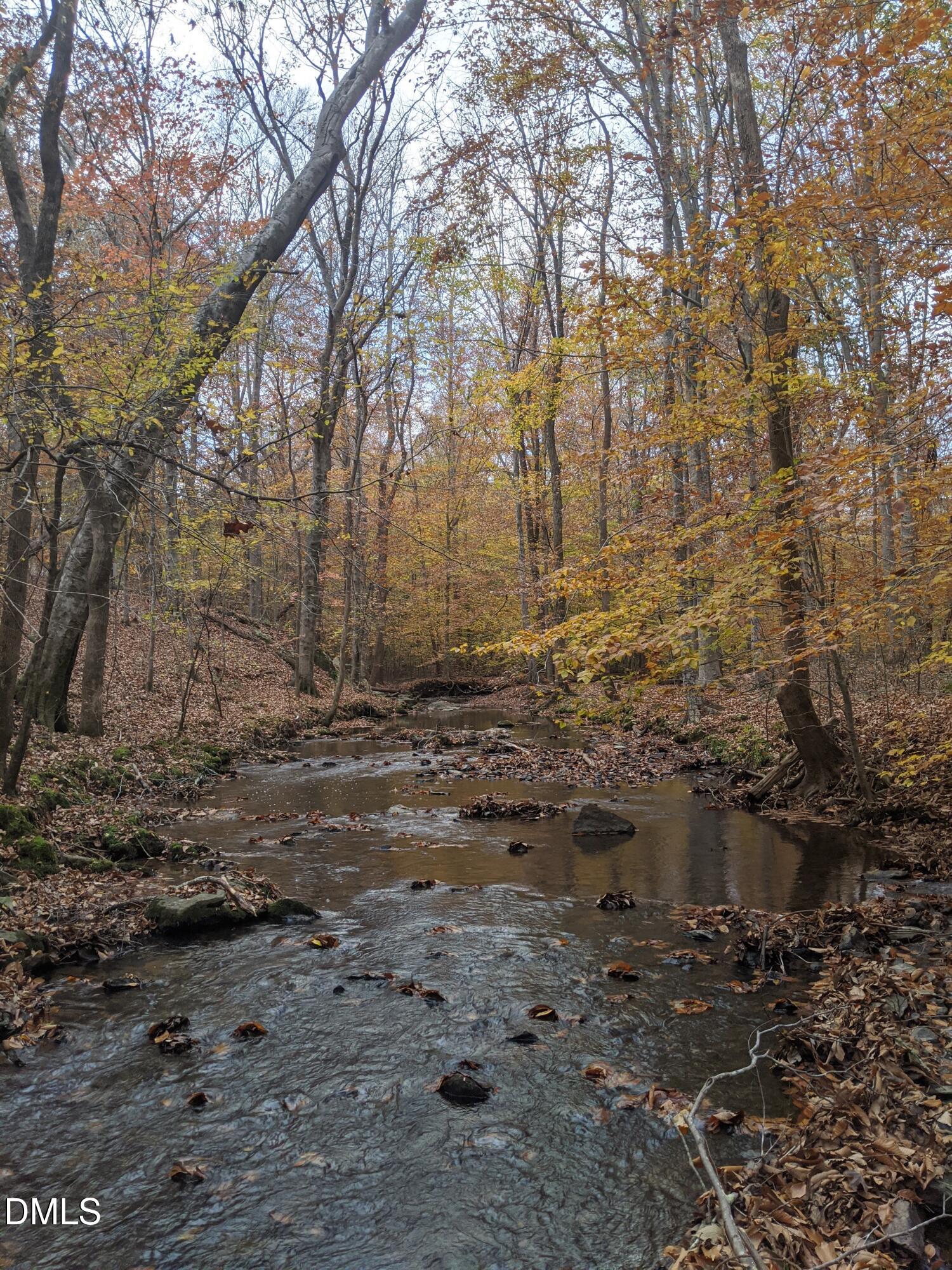 A creek winds through an autumn woodland, bordered by fallen leaves and rocks.