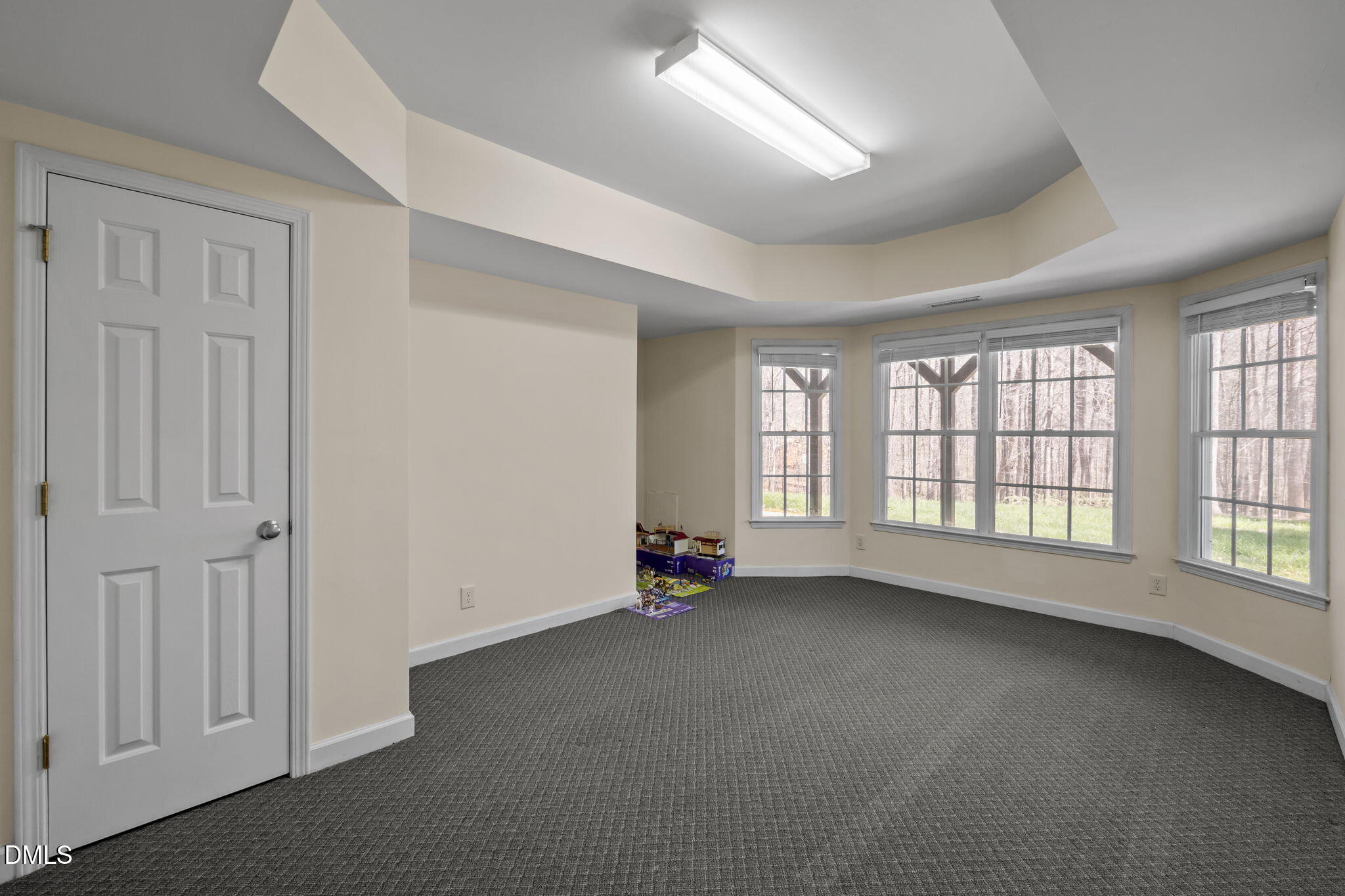 Carpeted room with a recessed ceiling, large windows, and toys near the back wall.
