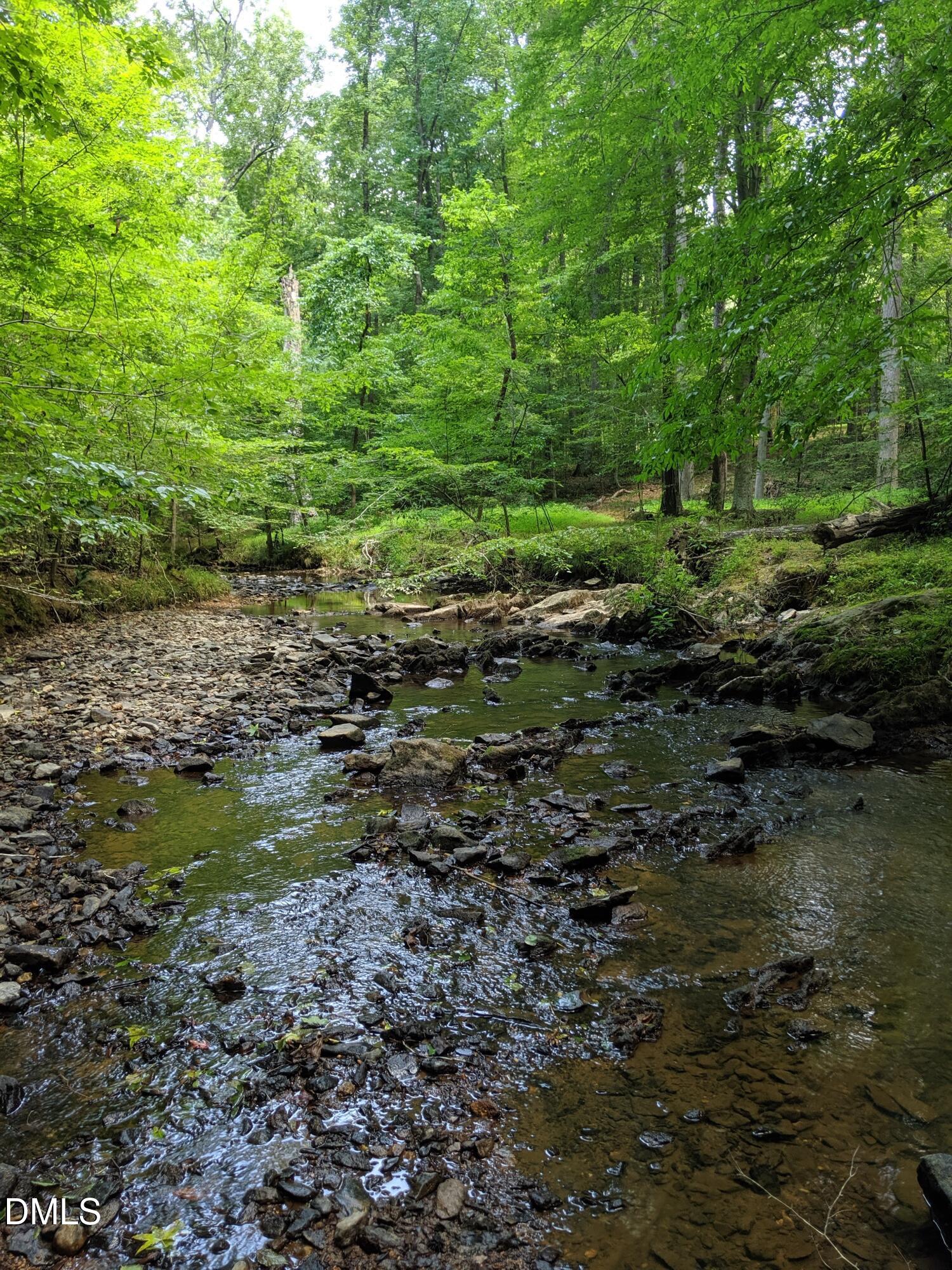 Rocky creek winding through a lush, densely wooded property.