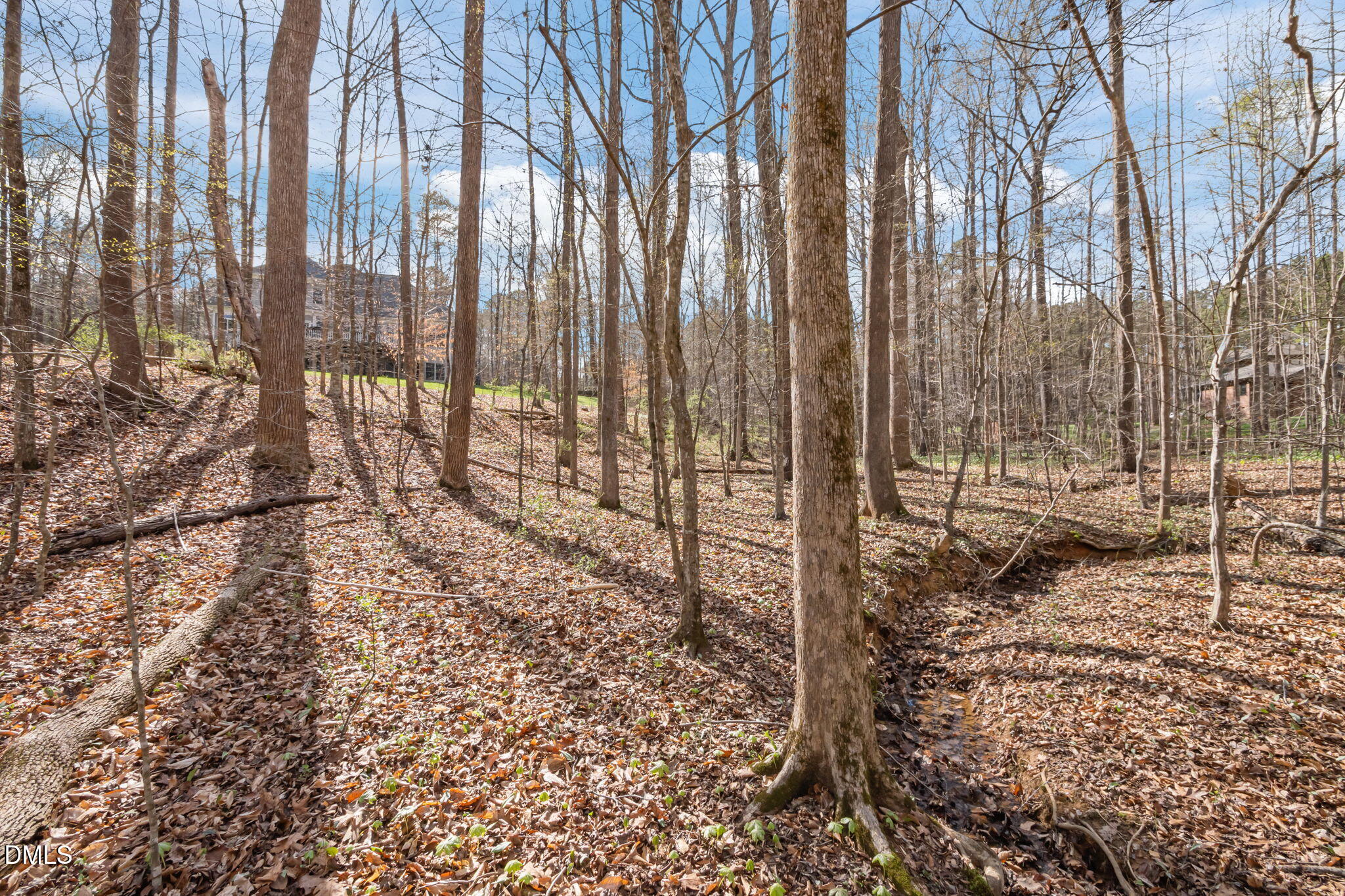 Wooded sloping lot with leafless trees and a small creek running through the foreground.