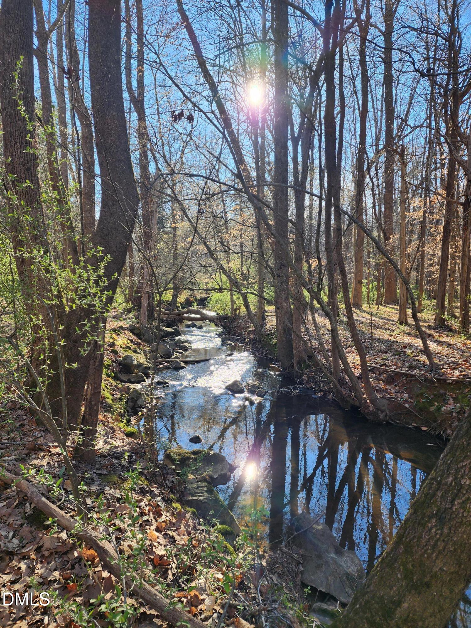 Wooded creek with rocks along the banks and sunlight reflecting on the water.