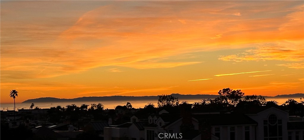 3501 Daffodil Avenue 16