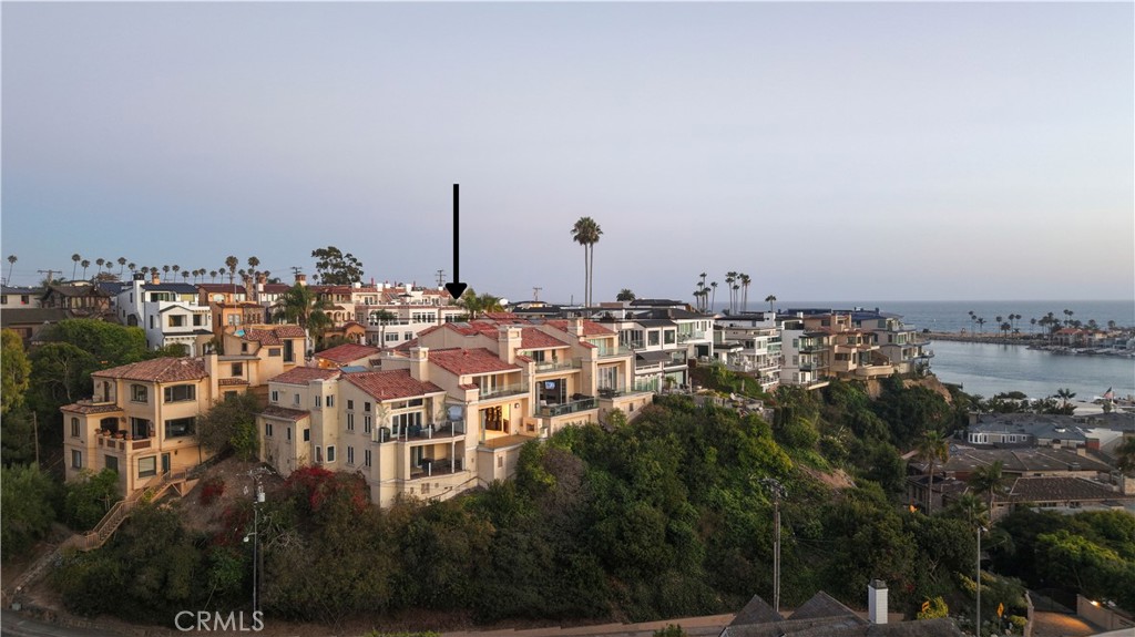 315 Carnation