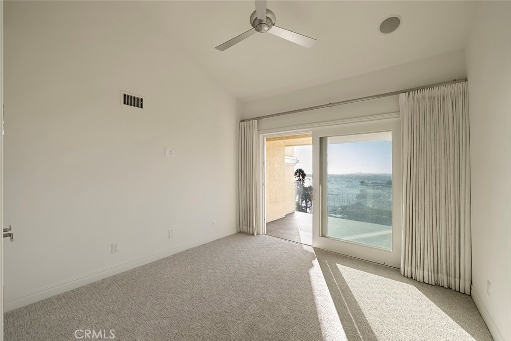 315 Carnation