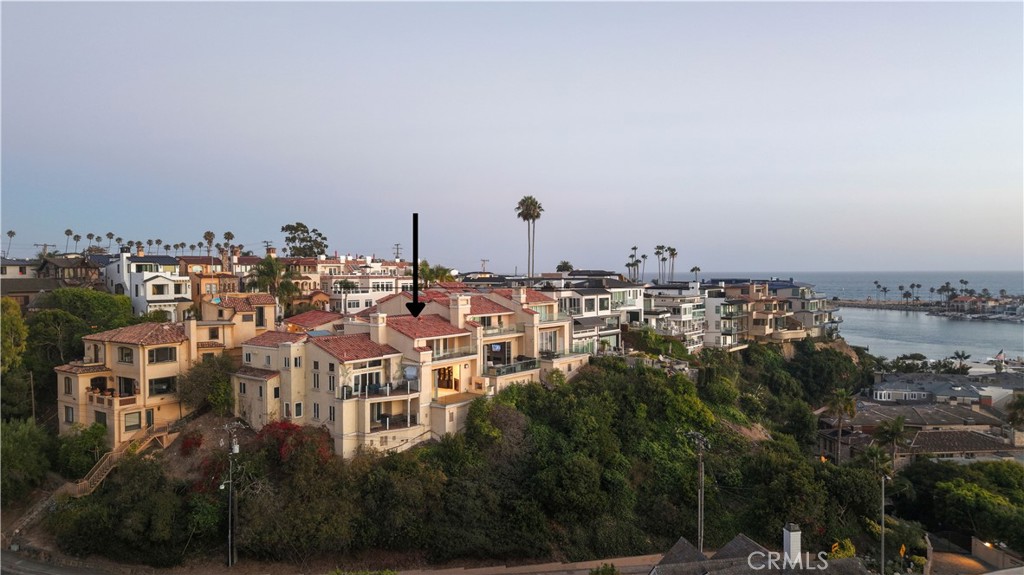 315 Carnation