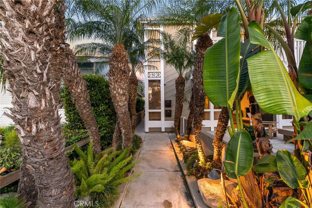 430 Carnation Avenue