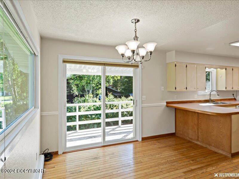 13111 Scottie Court