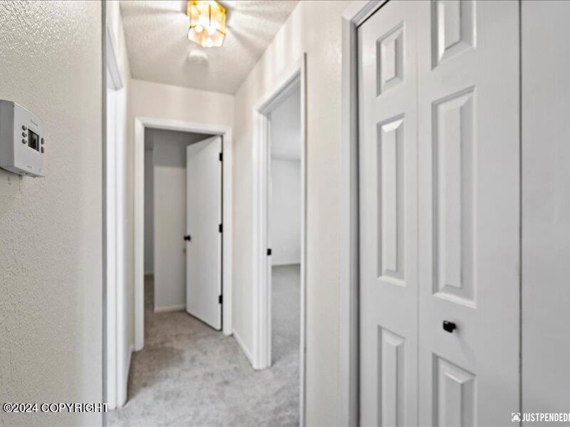 13111 Scottie Court