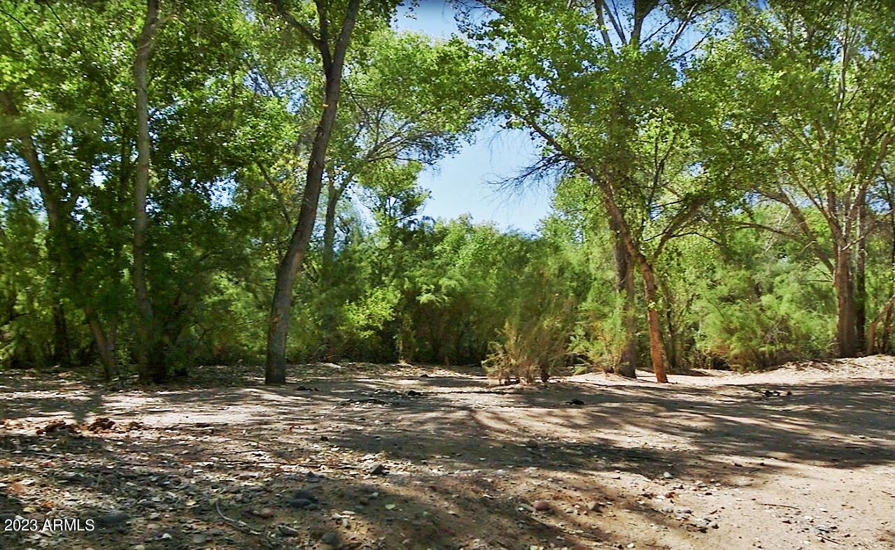 16200 E Tonto National Forest Road Unit: -