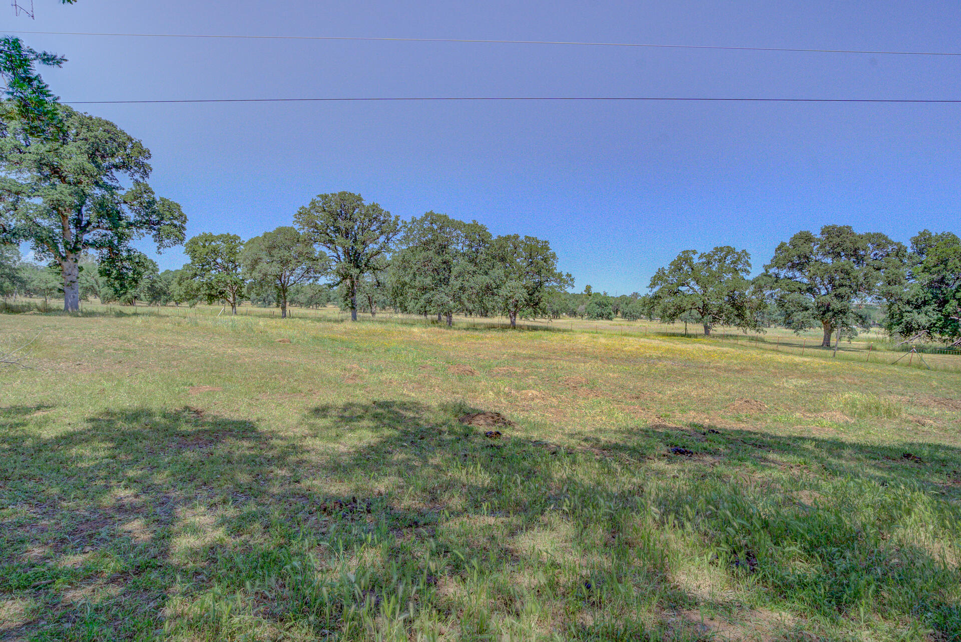 18774 Gas Point Road