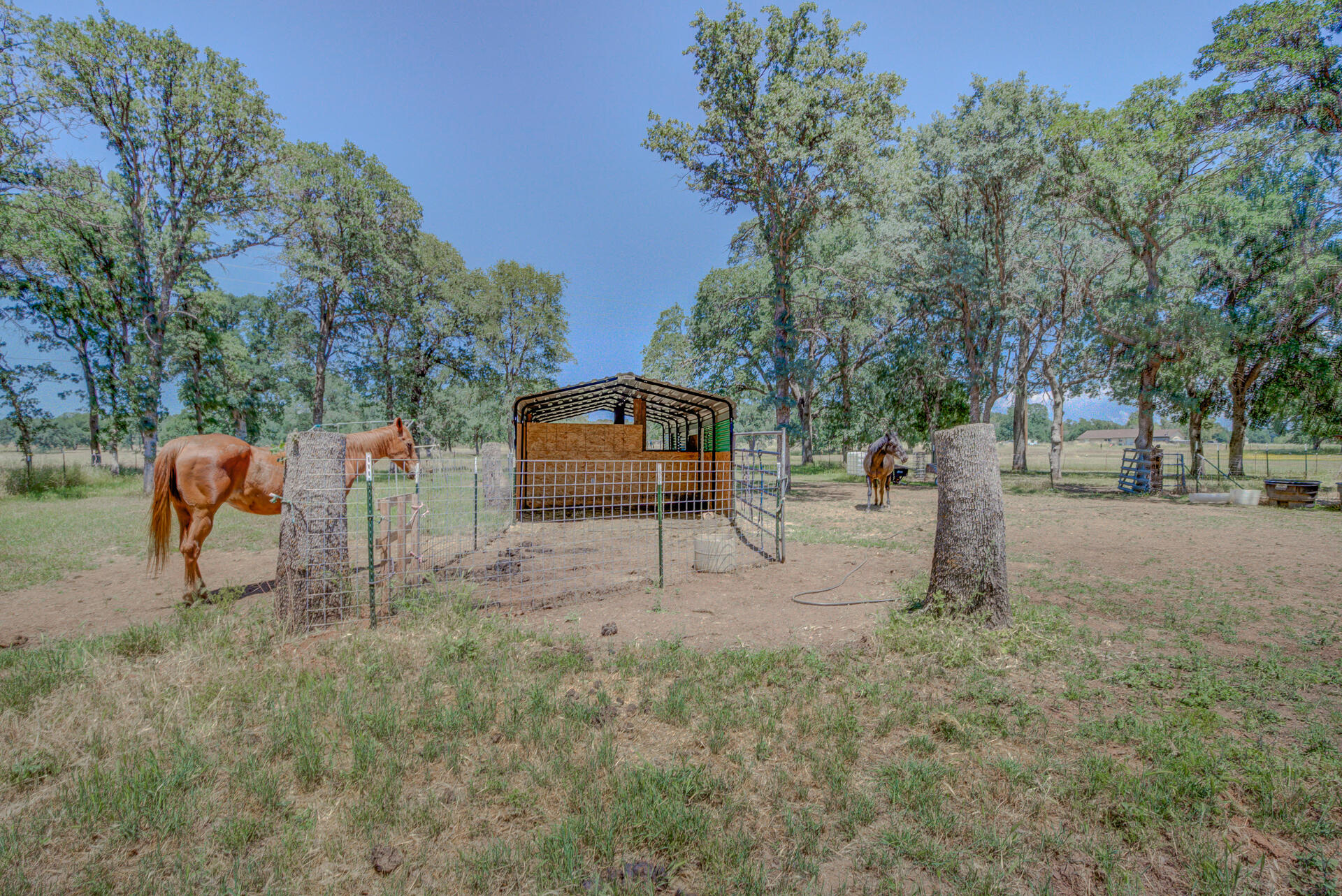 18774 Gas Point Road